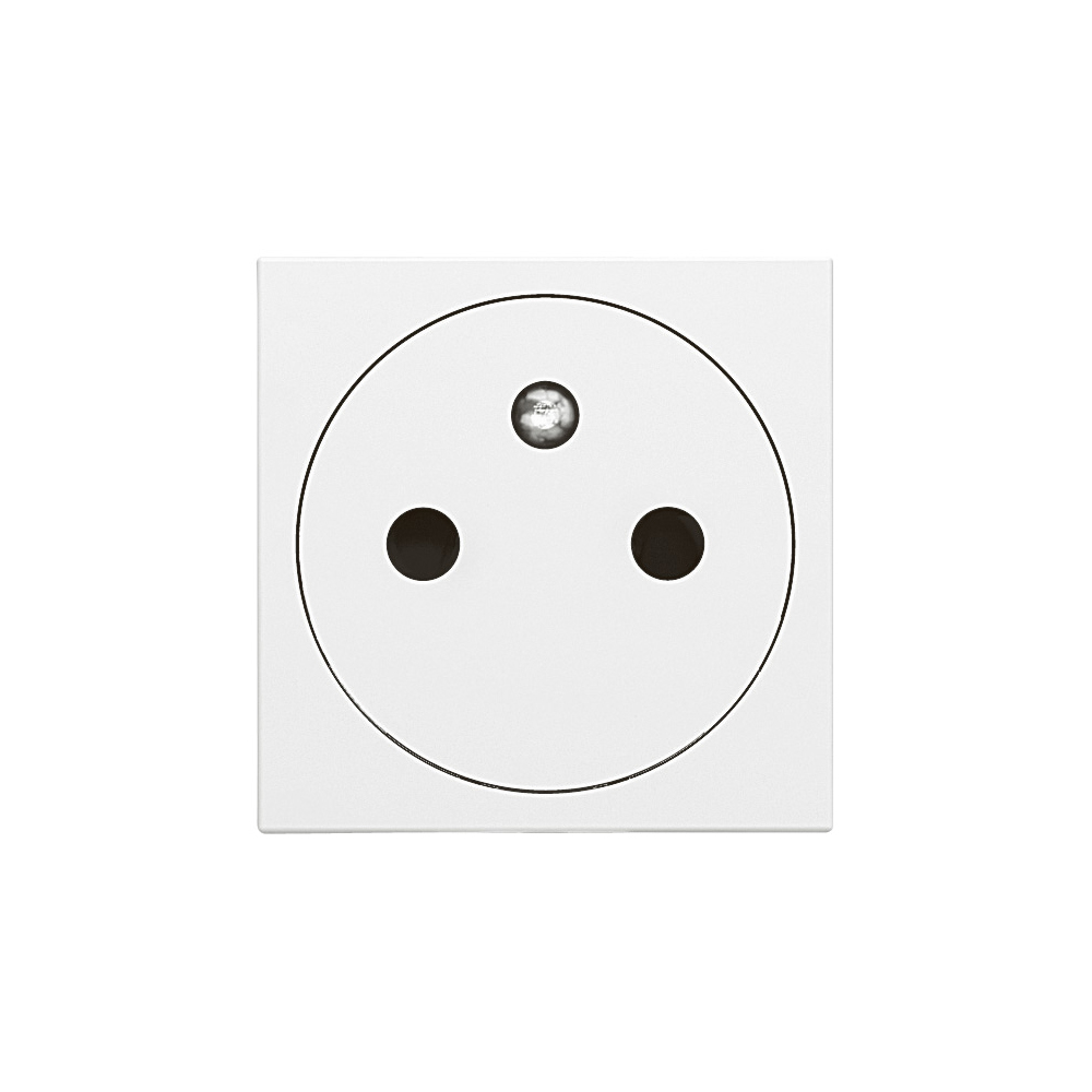 LEGRAND MOSAIC PRISE 2P+T AFFL. 2 MOD BLANC