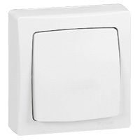 LEGRAND OTEO INTER TWEE RICHTINGEN 10 A - 250 V - MONOBLOC